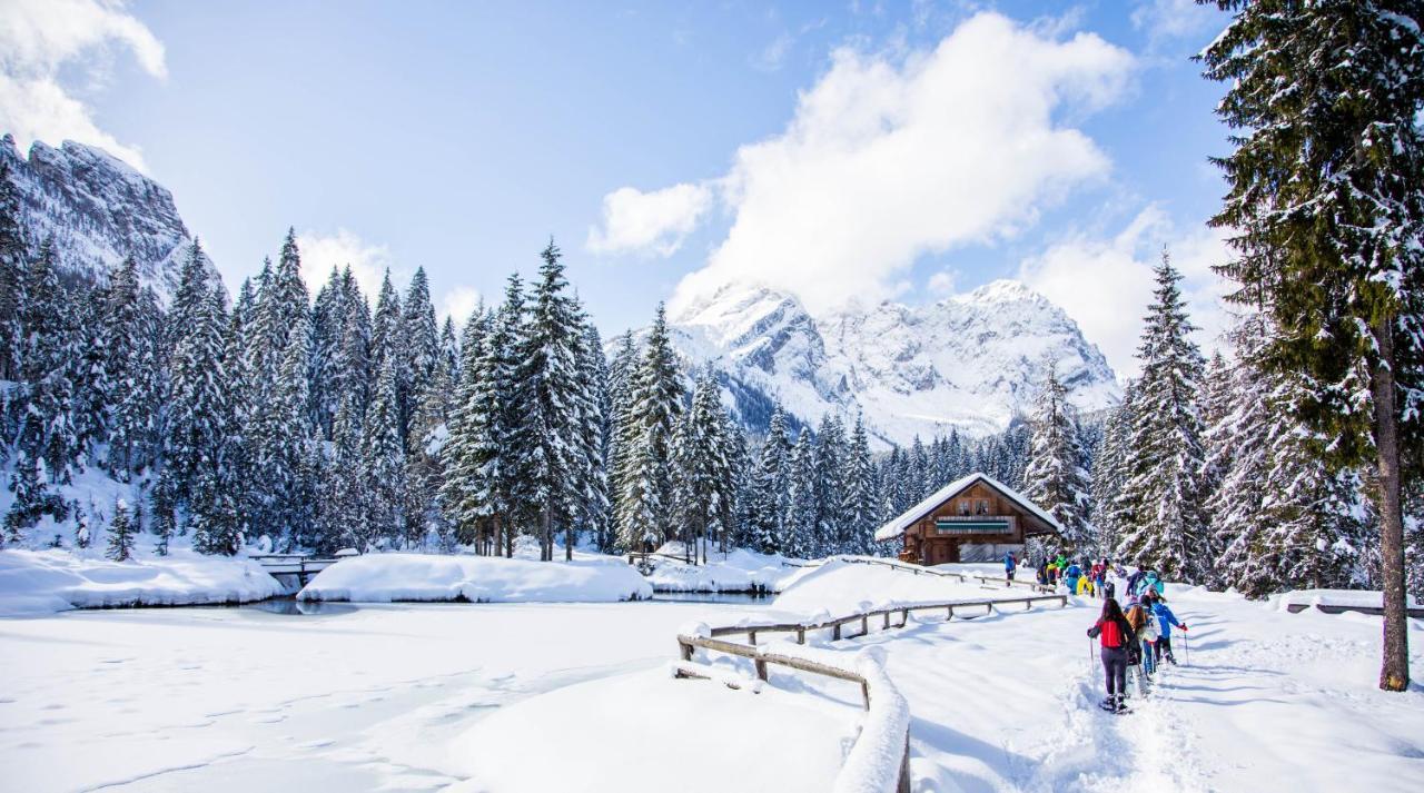 Maison Boutique Fior D'Alpe Sappada Kültér fotó