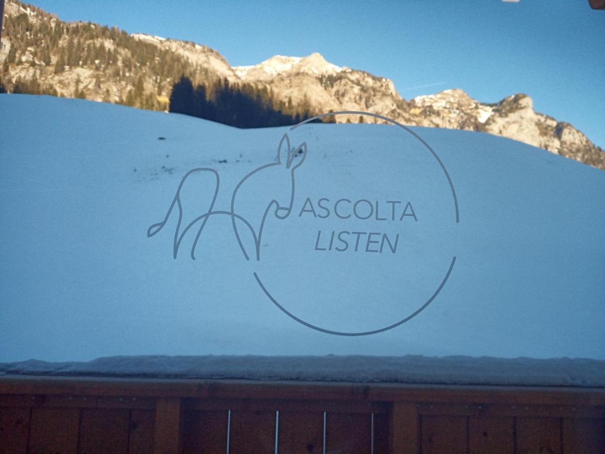Maison Boutique Fior D'Alpe Sappada Kültér fotó