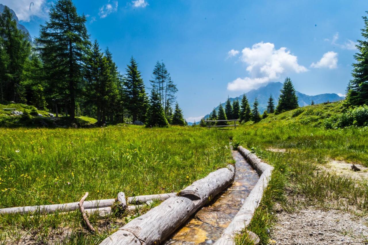 Maison Boutique Fior D'Alpe Sappada Kültér fotó
